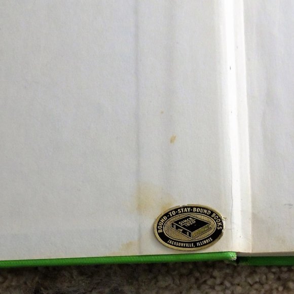 The Grey King (A Margaret K. Mc Elderry Book): Book 4 of The Dark Is Rising - Picture 3 of 7